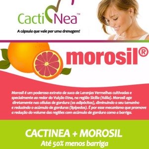 morosil + cactinea
